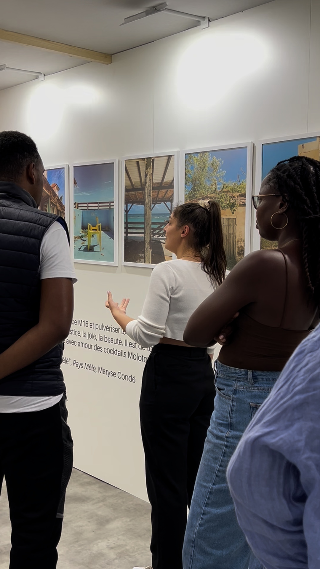 Formation et structuration de projets culturels