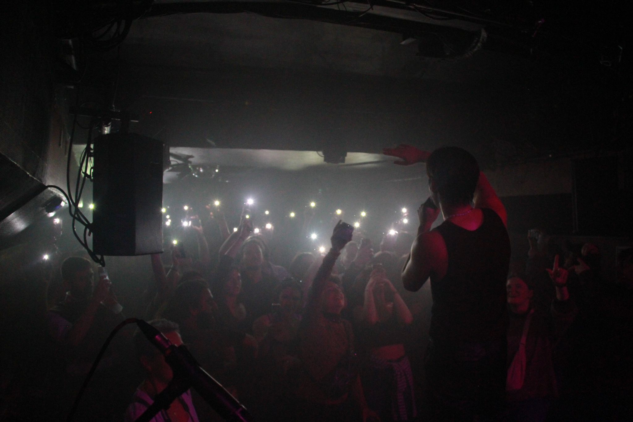 Production de concert – Elvieto – image 6